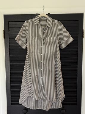 Everlane Olive and White Striped Midi Shirt Dress